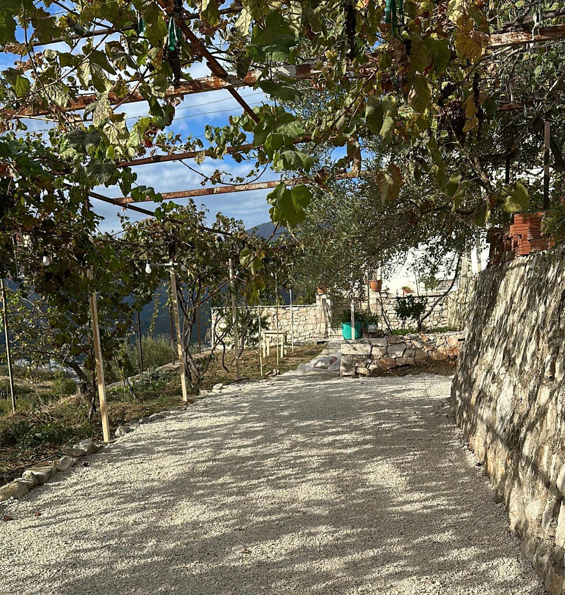 Hostel On The Hill - By Filikuri Beach Himare Exterior photo